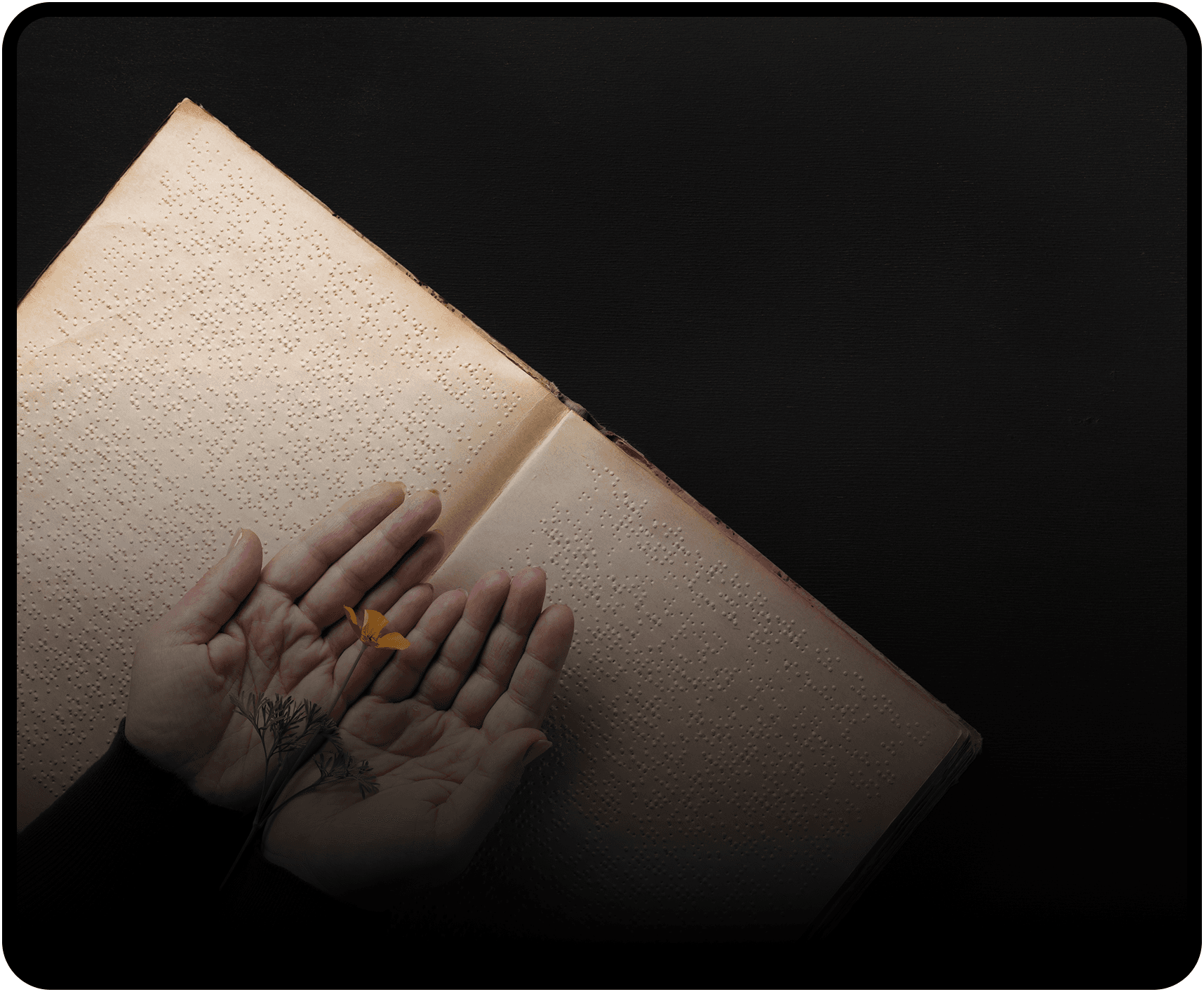 Über den Koran – betende Hände